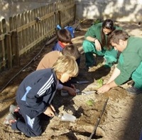 aprendiendo a plantar