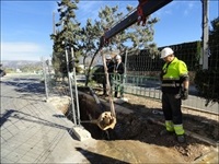 La Nucia Obras BHoriz 2014