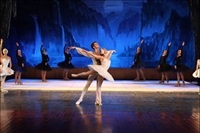 La Nucia Ballet Cisnes pre 2014