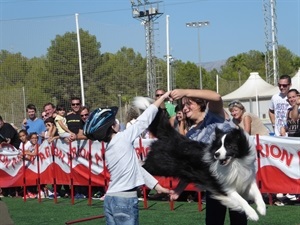 Exhibición de Agility en el Concurso Canino