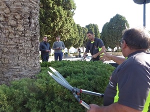 Los servicios técnicos de jardinería trabajando en el paraje de la Capelleta