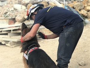 Los perros de rescate trabajaron junto a sus guías