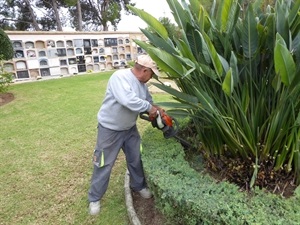 Los servicios técnicos municipales del Ayuntamiento de La Nucía han realizado una importante actuación en la jardinería del cementerio y sus exteriores