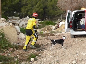 El simulacro trata de poner en práctica la coordinación del perro de rescate con el bombero