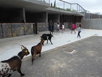 La Nucia CEM granja escuela 3 2019