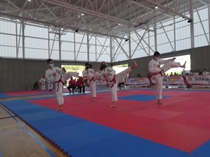 Competición de formas de Taekwondo ITF
